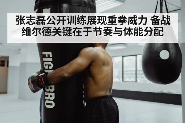 boxing heavy bag training gym
